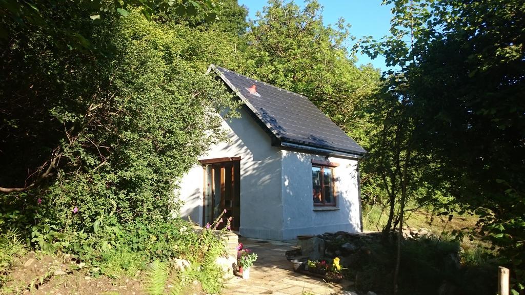 Apartmán In The Woods Ballintogher Pokoj fotografie